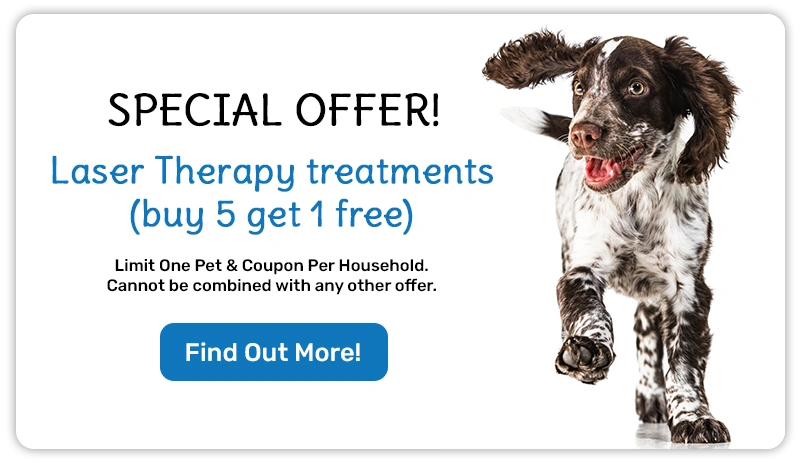 Special Offer! Laser Therapy treatments (buy 5 get 1 free)!